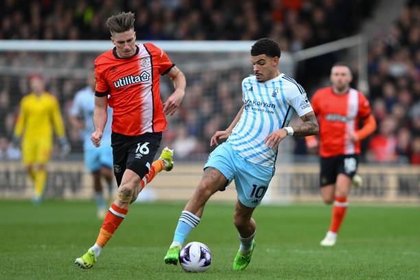 他多年来不 他多年来不