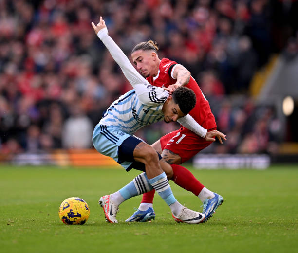 还需要在队 还需要在队