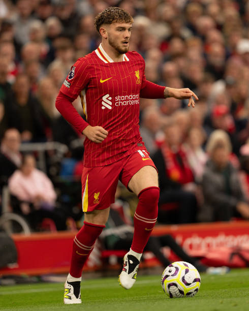 征服了无数 征服了无数