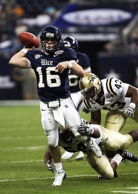 的心理素质 的心理素质